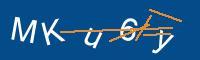 Captcha eingeben