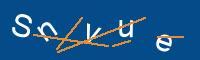 Captcha eingeben