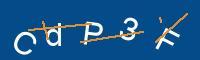 Captcha eingeben
