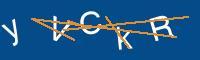 Captcha eingeben