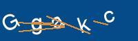 Captcha eingeben
