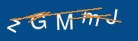 Captcha eingeben