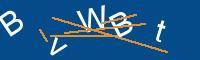 Captcha eingeben