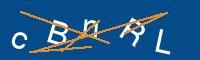 Captcha eingeben