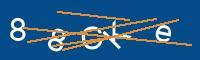 Captcha eingeben
