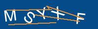 Captcha eingeben