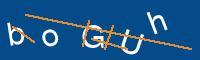 Captcha eingeben