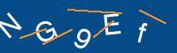 Captcha eingeben
