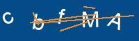 Captcha eingeben