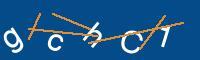 Captcha eingeben
