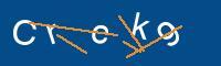 Captcha eingeben