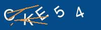 Captcha eingeben
