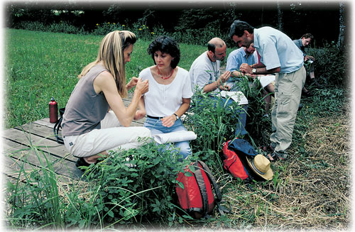 Lehrgangsteilnehmer erkunden die Ökologische Lehr- und Forschungsstation Straß.
