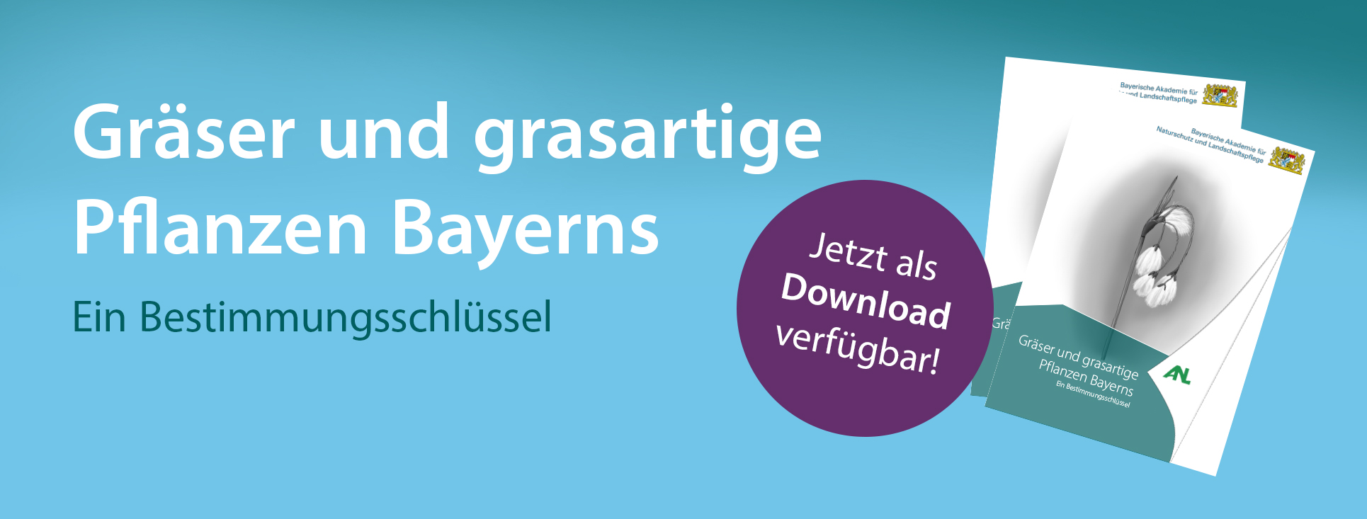 Titelbild Gräaserbestimmung