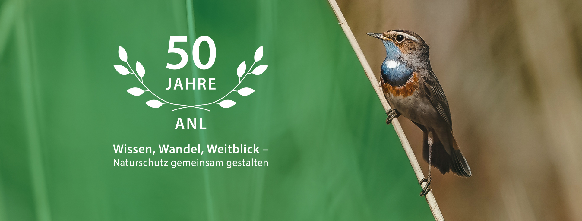 Link zur Jubiläumsseite Titelbild Jubiläumsjahr ANL 2026