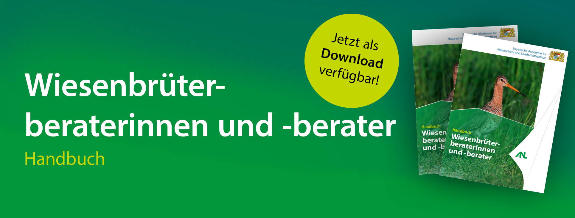 Titelbild Wiesenbrüterhandbuch