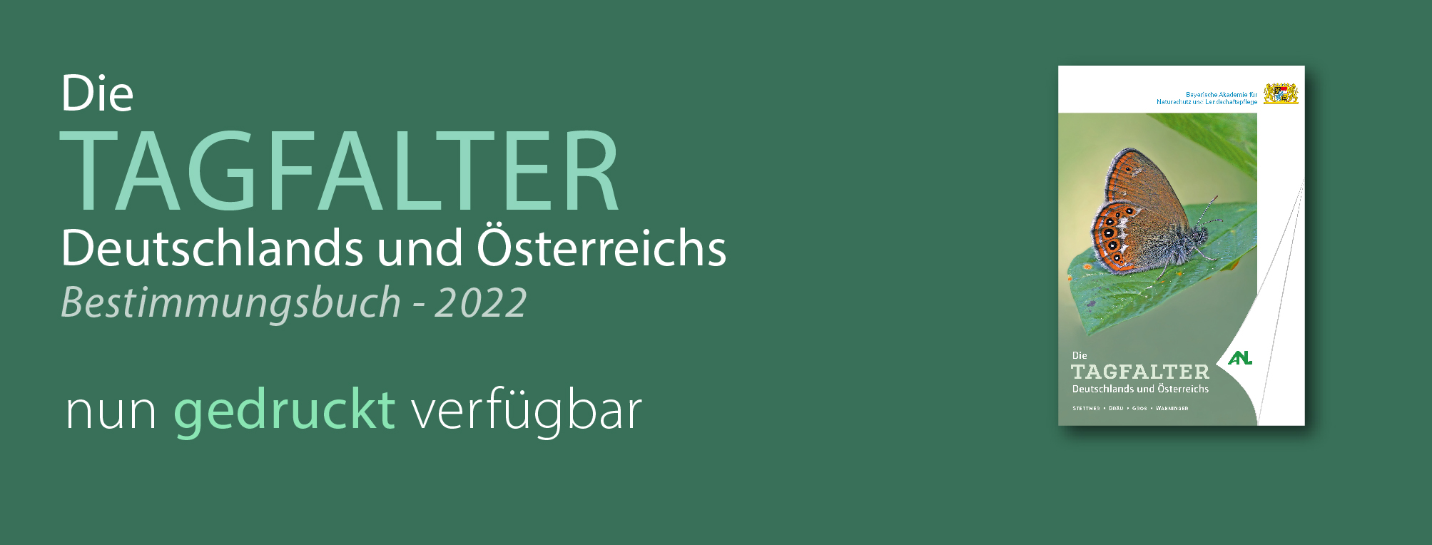 Titelbild des Tagfalterbuchs 2022
