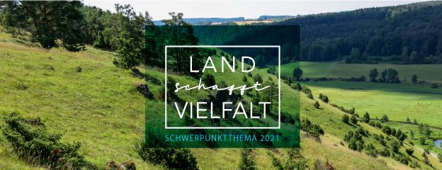 Lintlberg bei Sonnenschein im Sommer.