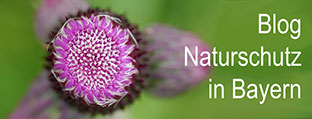 Interner Link zu aktuellen Meldungen und Themen von ANLiegen Natur Schmuckbild