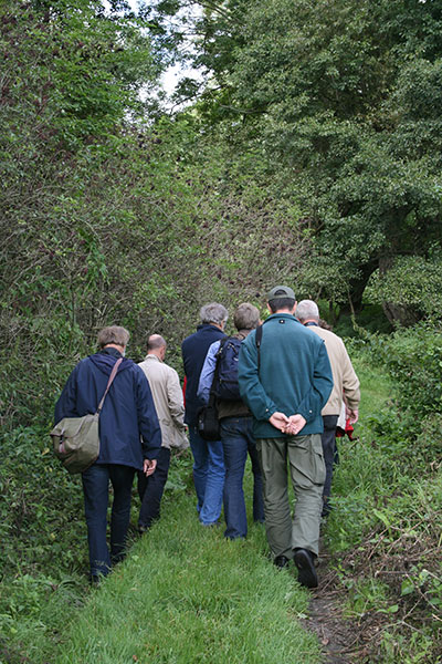 Eine Gruppe Menschen wandern durch einen Wald.