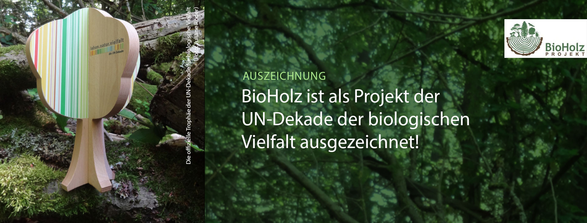 Das Foto zeigt die offizielle Trophäe der UN Dekade für biologische Vielfalt und symbolisiert ein Holzbäumchen. Im Hintergrund ist Totholz zu sehen.