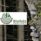 Interner Link zum BioHolz Projekt.