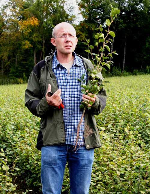 Andreas Ludwig, Leiter der Samenklenge und des Pflanzgarten Laufen, steht im Pflanzgarten und hält einen Buchenheister in der Hand.