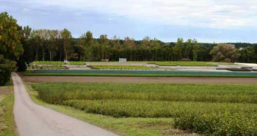 Pflanzanlagen des Pflanzgartens, im Hintergrund Bewässerungsanlage.