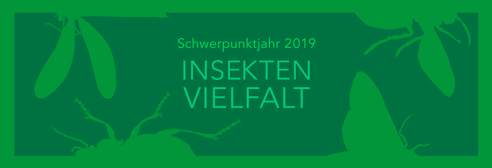 Titelbild vom Flyer zur Insektenvielfalt, Schwerpunktjahr 2019. Stilisierte Insekten wie Käfer und Libellen vor hellgrünem Hintergrund.  