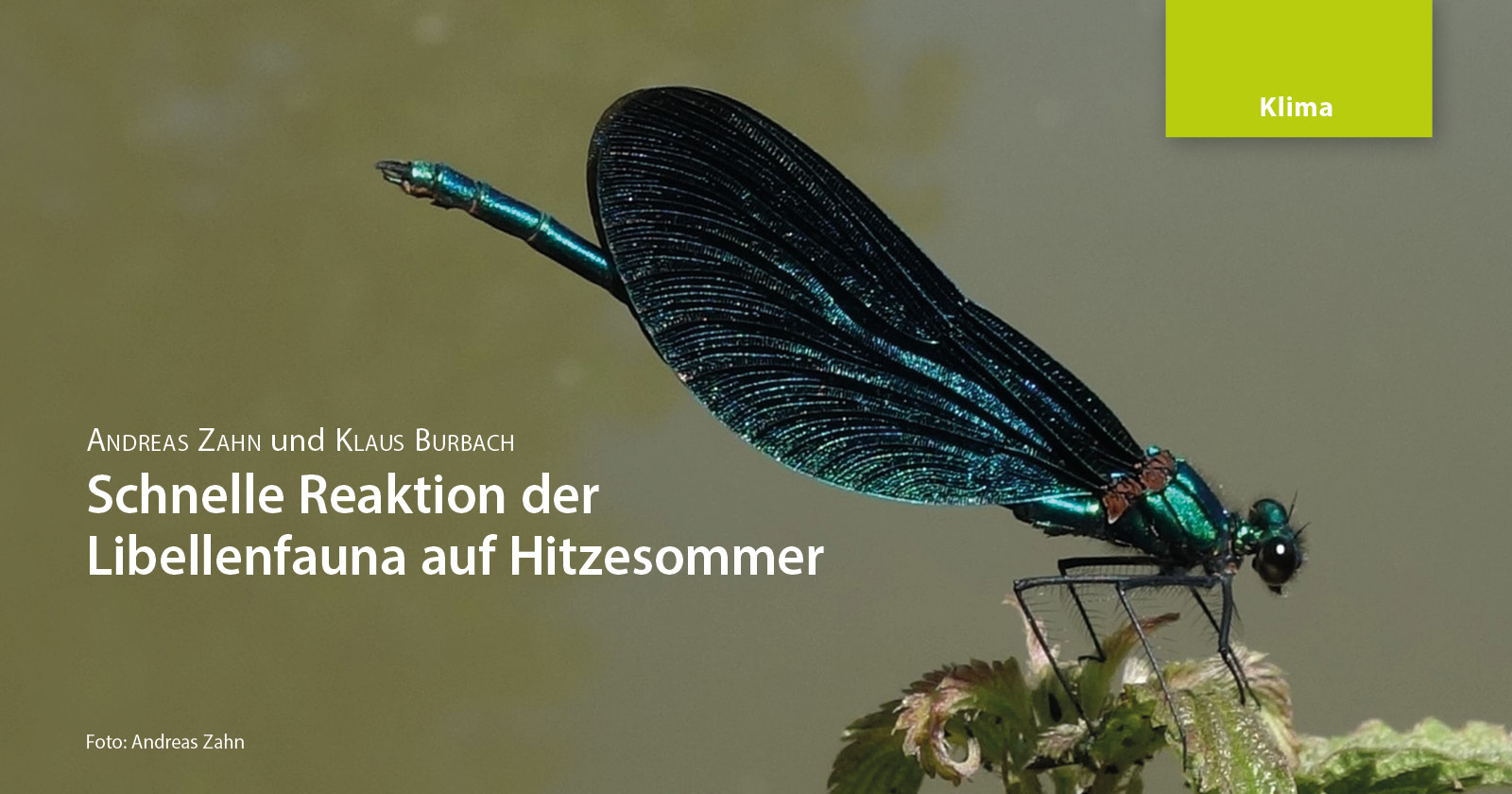 Titelbild des Artikels