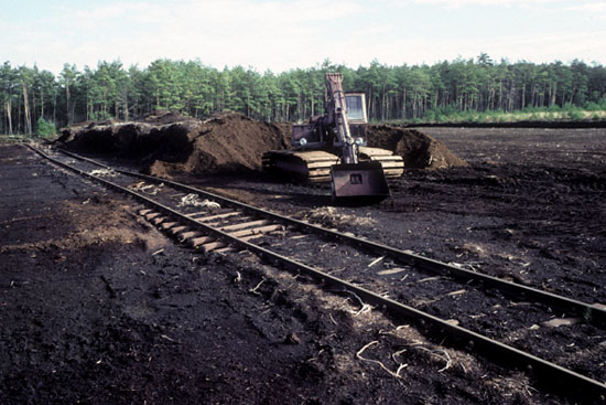 Das Bild zeigt eine Raupe und Gleise im Torfwerk um 1990.