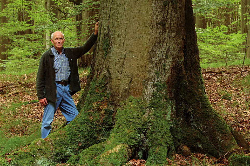 Georg Sperber lehnt sich an einen Baum.