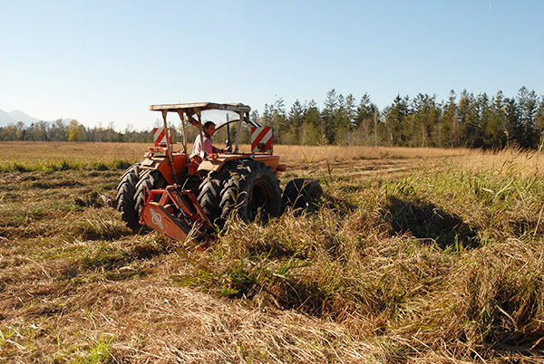 Landwirt bei der Mahd, Bildautor: Rolf Gerlach.