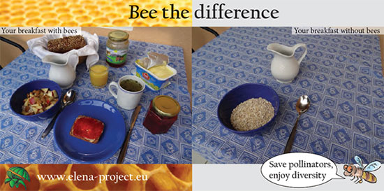 Die Postkarte zeigt zwei Fotos eines Frühstückstisches. Das linke Foto zeigt einen Frühstückstisch, wie er mit von Bienen erzeugten Produkten aussehen kann, also sehr vielseitig mit Marmeladenbrot, Orangensaft, Kräutertee, Honigglas und so weiter. Das rechte Foto zeigt, wie ein Frühstückstisch aussehen würde, wenn es keine Bienen mehr gäbe; hier stehen lediglich eine Schüssel Haferflocken und eine Milchkanne. Beide Fotos sind überschrieben mit Be the difference, wobei Be mit Doppel-E geschrieben ist, für das englische Wort für Biene. Zudem ist eine Zeichnung mit einer Biene und ihrer Sprechblase Save pollinators, enjoy diversity sowie der Link zur Projekt-Homepage von ELENA (www.elena-project.eu) zu lesen. Auf der Rückseite der Postkarte ist eine englische Erläuterung zu lesen sowie die beiden Logos der Biosphärenregion Berchtesgadener Land und der ANL.