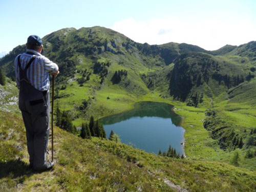 Ein Mann blickt über Almwiesen auf einen Bergsee, der in die Bergkulisse eingebettet ist