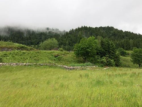 Almwiese der Hinterseewaldalpe mit Lesesteinmauer, im Hintergrund Wald.