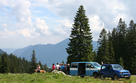 Zum Öffnen der Diashow bitte auf das Bild klicken (Zwei Autos stehen auf einer Alm mit Rindern umgeben von hohen Fichten).