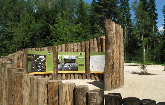 Spirale aus stehenden Lerchenstämmen mit 3 Informationstafeln, im Hintergrund Wald