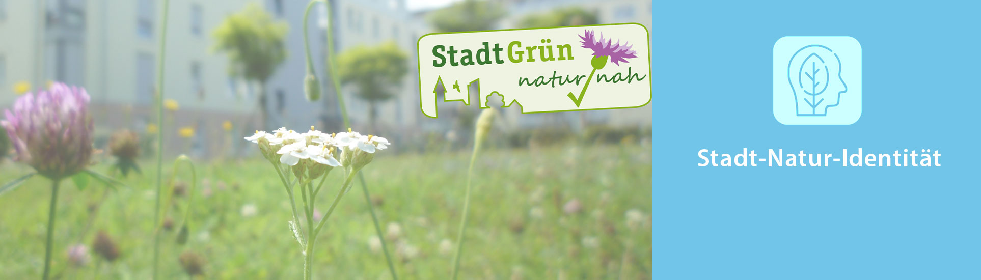 Blumenwiese vor Häusern mit Label „StadtGrün naturnah“