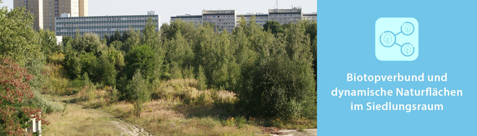 Bäume vor mehreren Häuserfassaden.