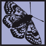 Icon eines Schmetterlings