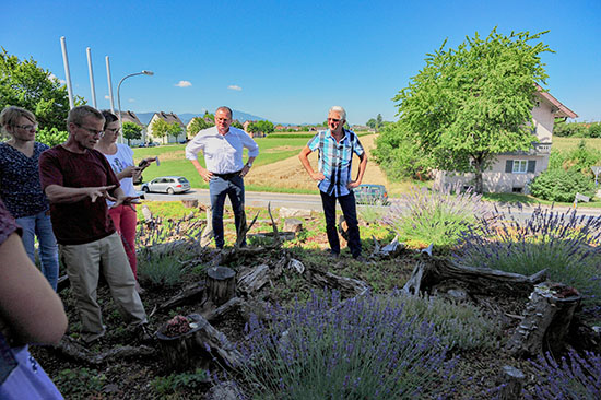 Extensive Dachbegrünung: Totholz, Sedum und Lavendel auf dem Dach des Vermessungsamts Freilassing (Foto: BGLW)