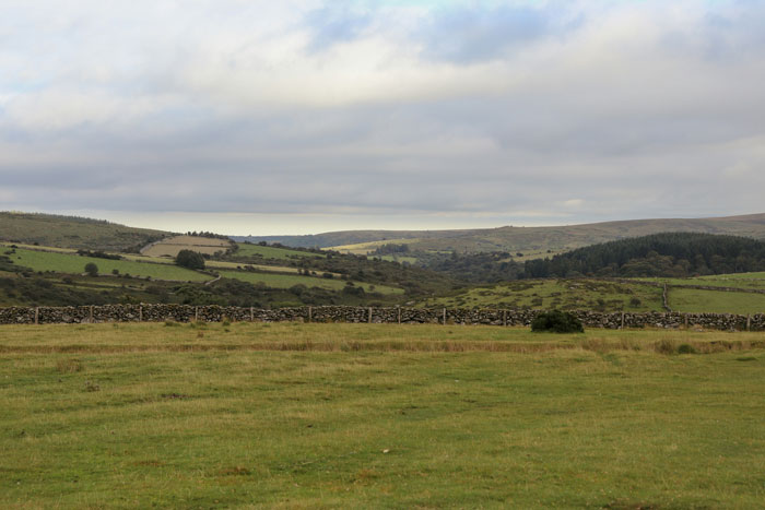  Panorama-Foto einer Grünland-geprägten Landschaft mit Gehölzreihen