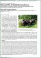 internal link to the full text-pdf: Zahn Water Buffalo