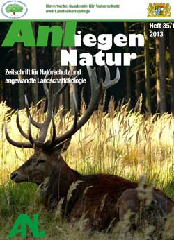 Hirsch liegt in Getreidefeld am Waldrand.