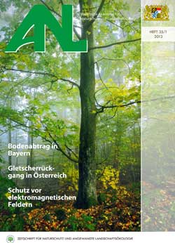 Ein Baum inmitten eines Waldes, ringsum Laub.