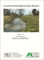 Titelbild Heft II. 19 Bäche und Bachufer (Bach mit Gräserböschung, dahinter eine kleine Brücke und Bäume)