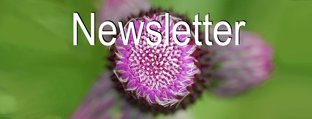 Logo des Newsletters