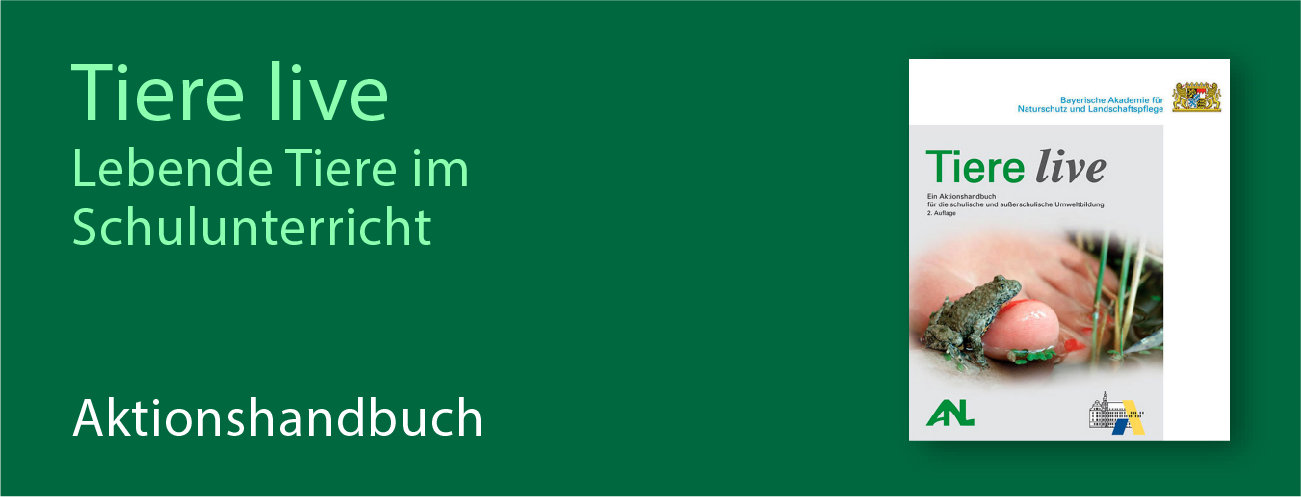 Teil des Titelbildes vom Aktionshandbuch