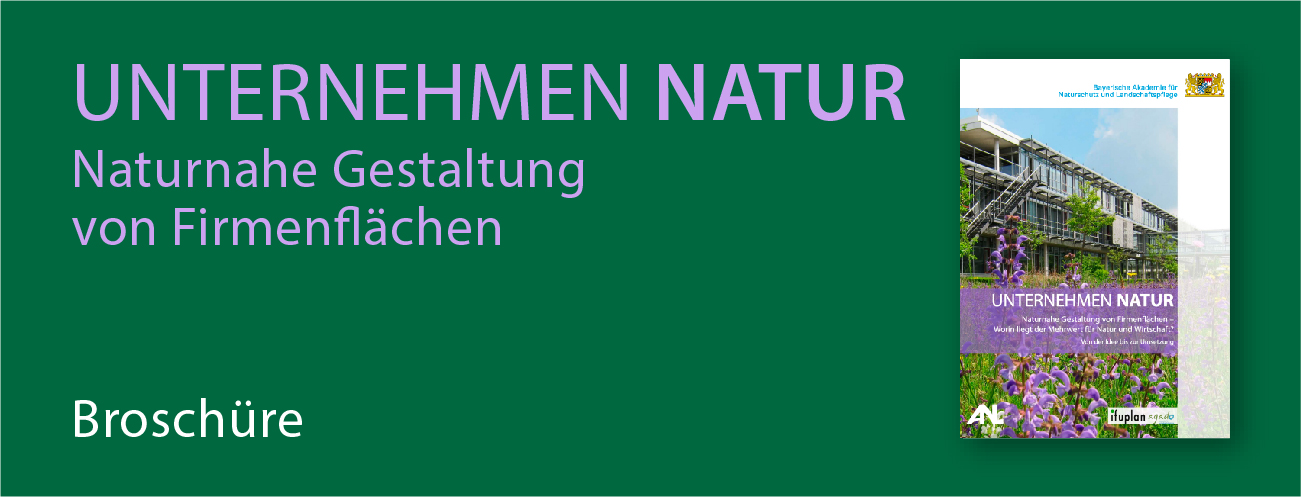 Titelseite vom Leitfaden Unternehmen Natur